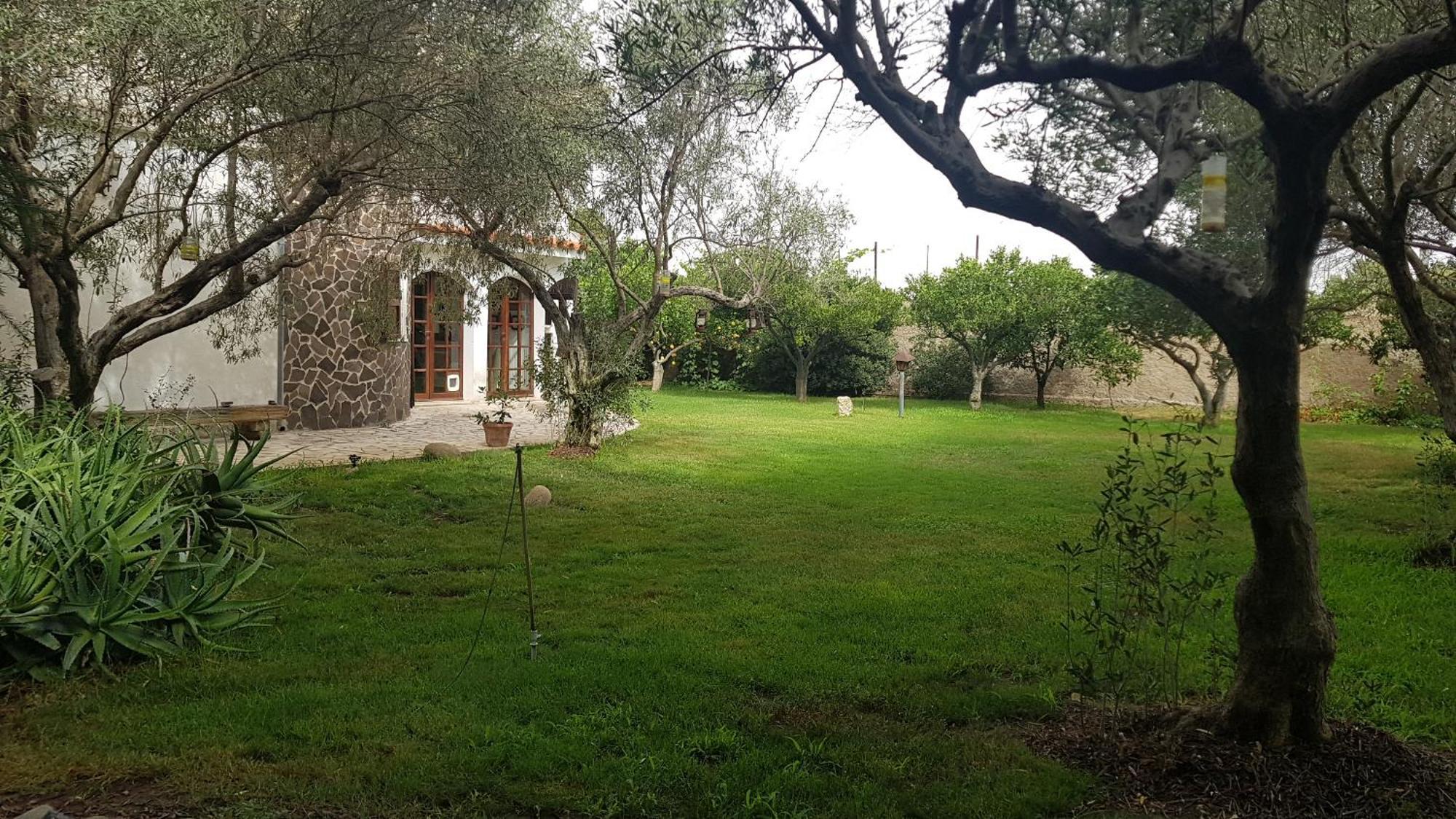 Il Giardino Di Frafa Apartment Quartu Sant'Elena Exterior photo